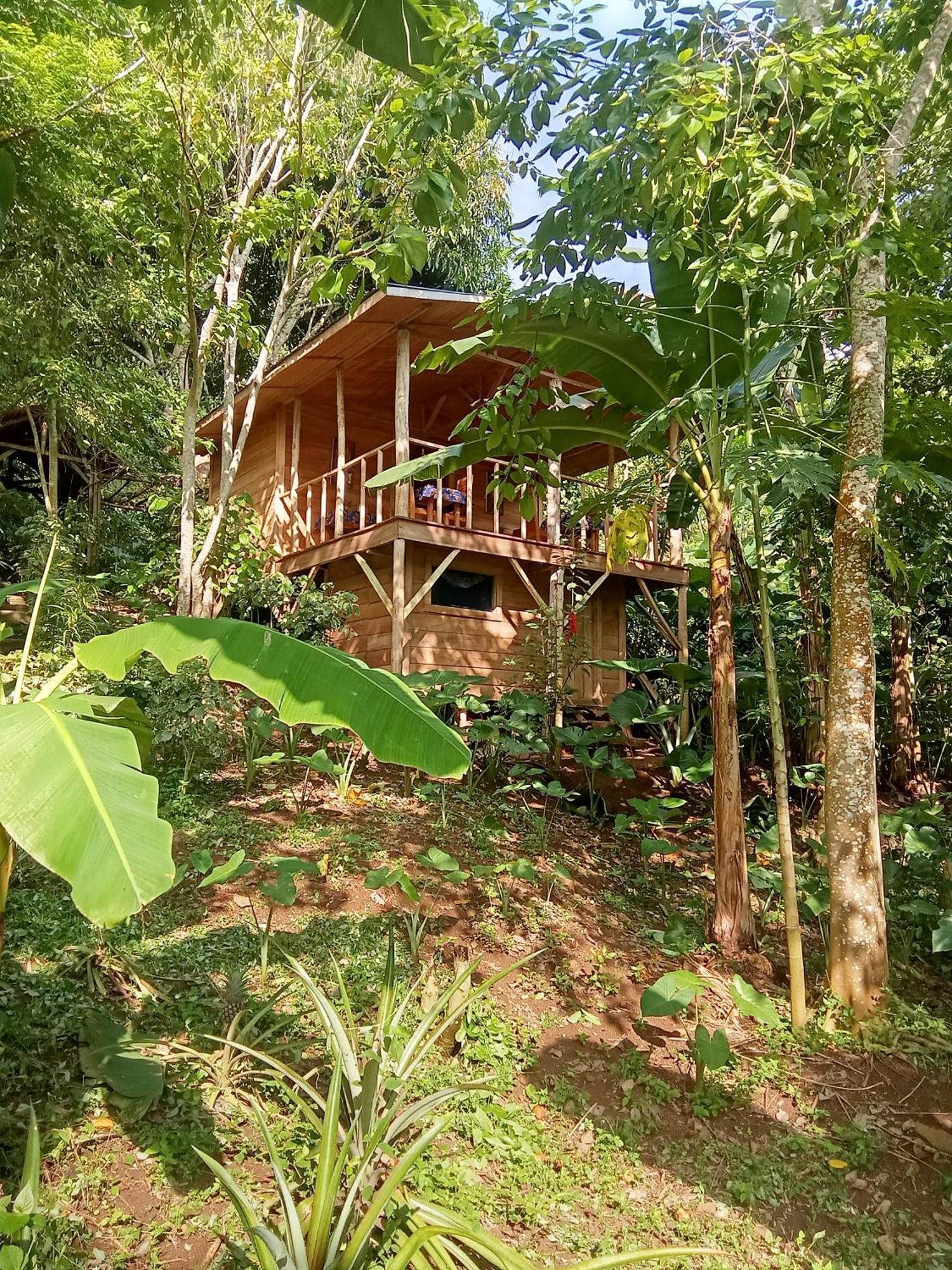 Eco-Por Villa Rio do Ouro Exterior foto